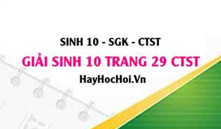 Giải Sinh 10 trang 29 Chân trời sáng tạo SGK